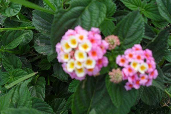 p-00674810B198-64DF-3ECD-08C9-9814A52D74BB.jpg